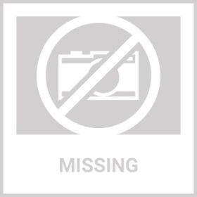 Do Not Sell On Amazon Probiotics For Dogs Support Gut Health Immunity Yeast Balance Itchy Skin Allergies Probiotics And Digestive Enzymes Coproph (Option: Chewia)